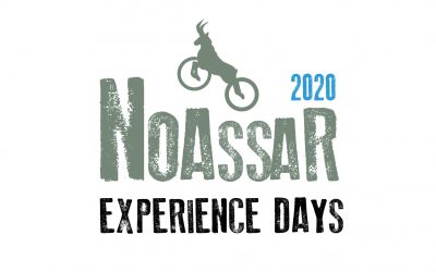 Posa’t a punt aquest juliol amb els cursos de trial de Noassar