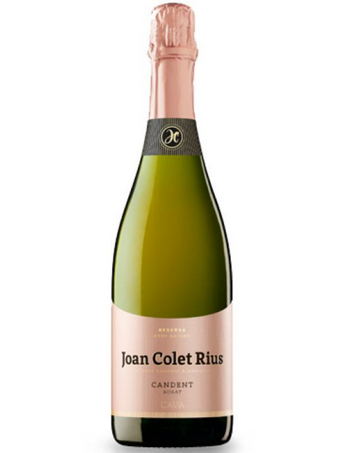 Joan Colet Rius